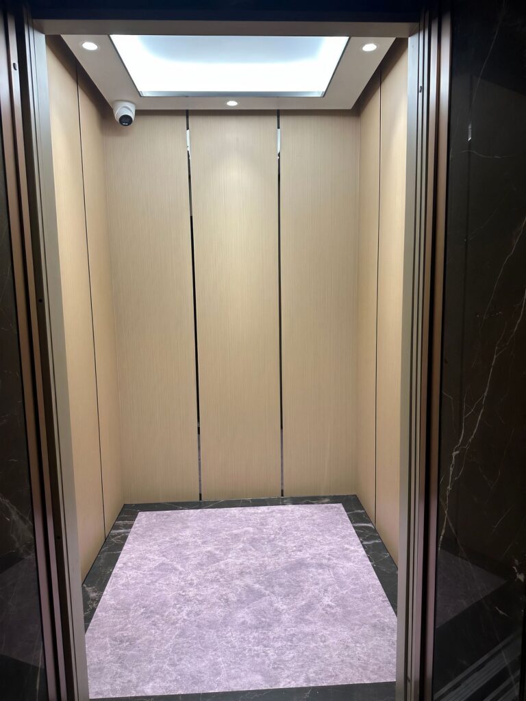 Decorative elevator interior cladding panels